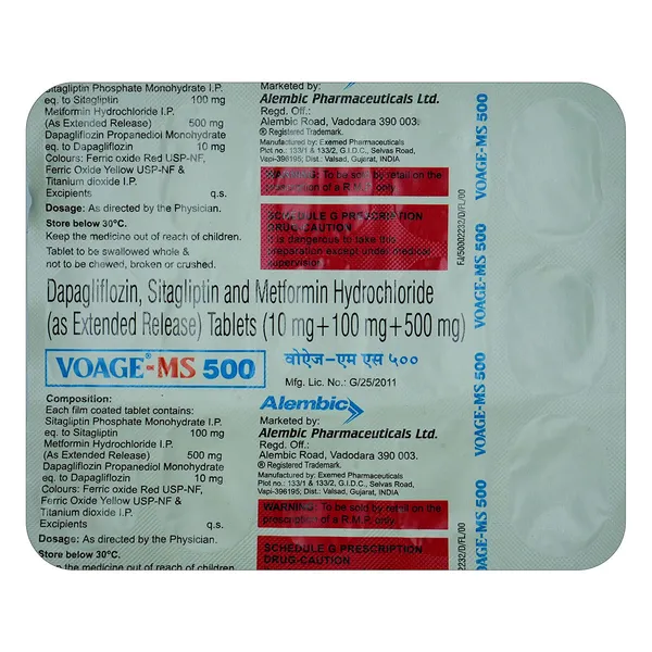 VOAGE MS 500 TAB